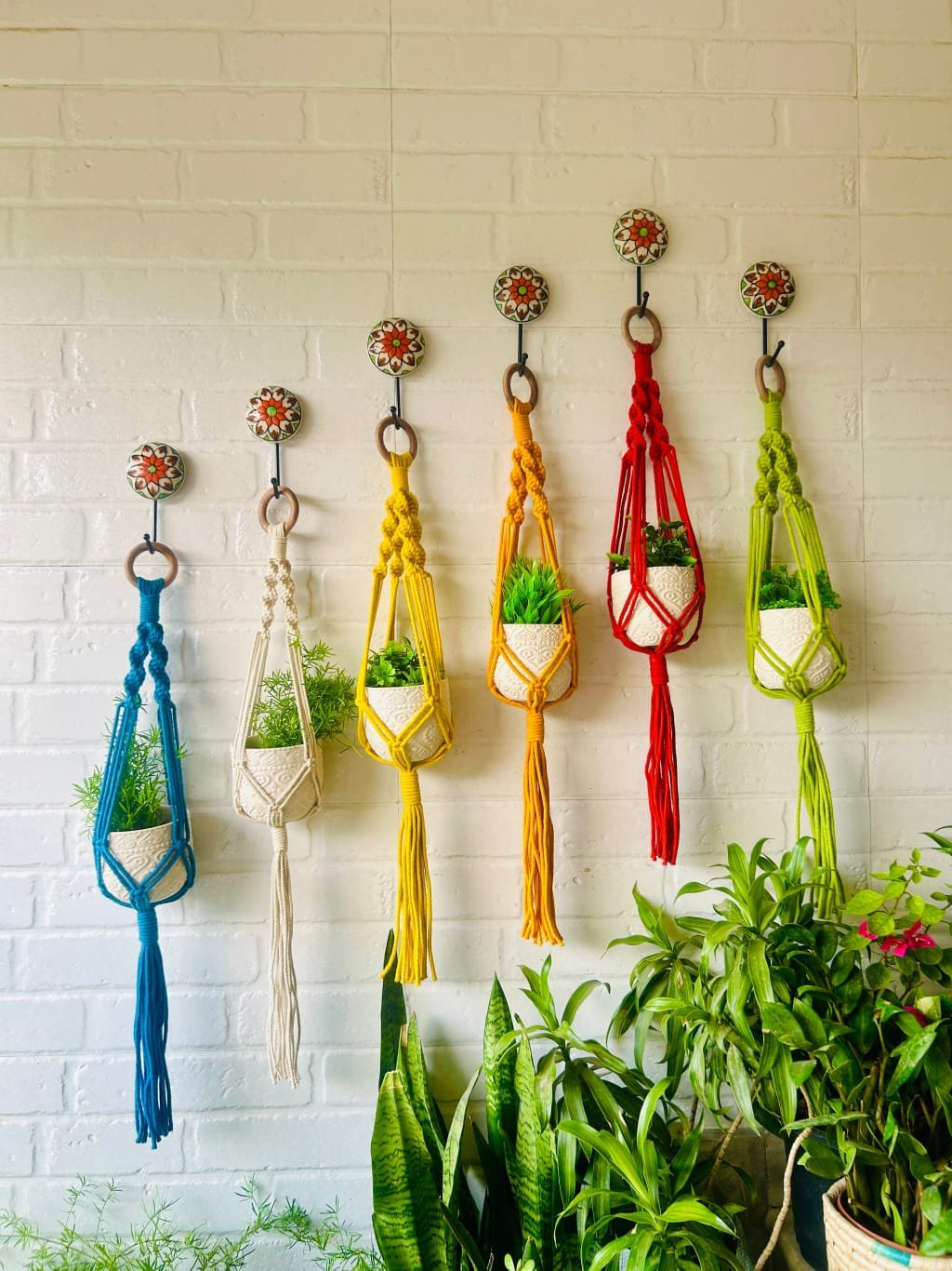 Handcrafted Money Plant Holder